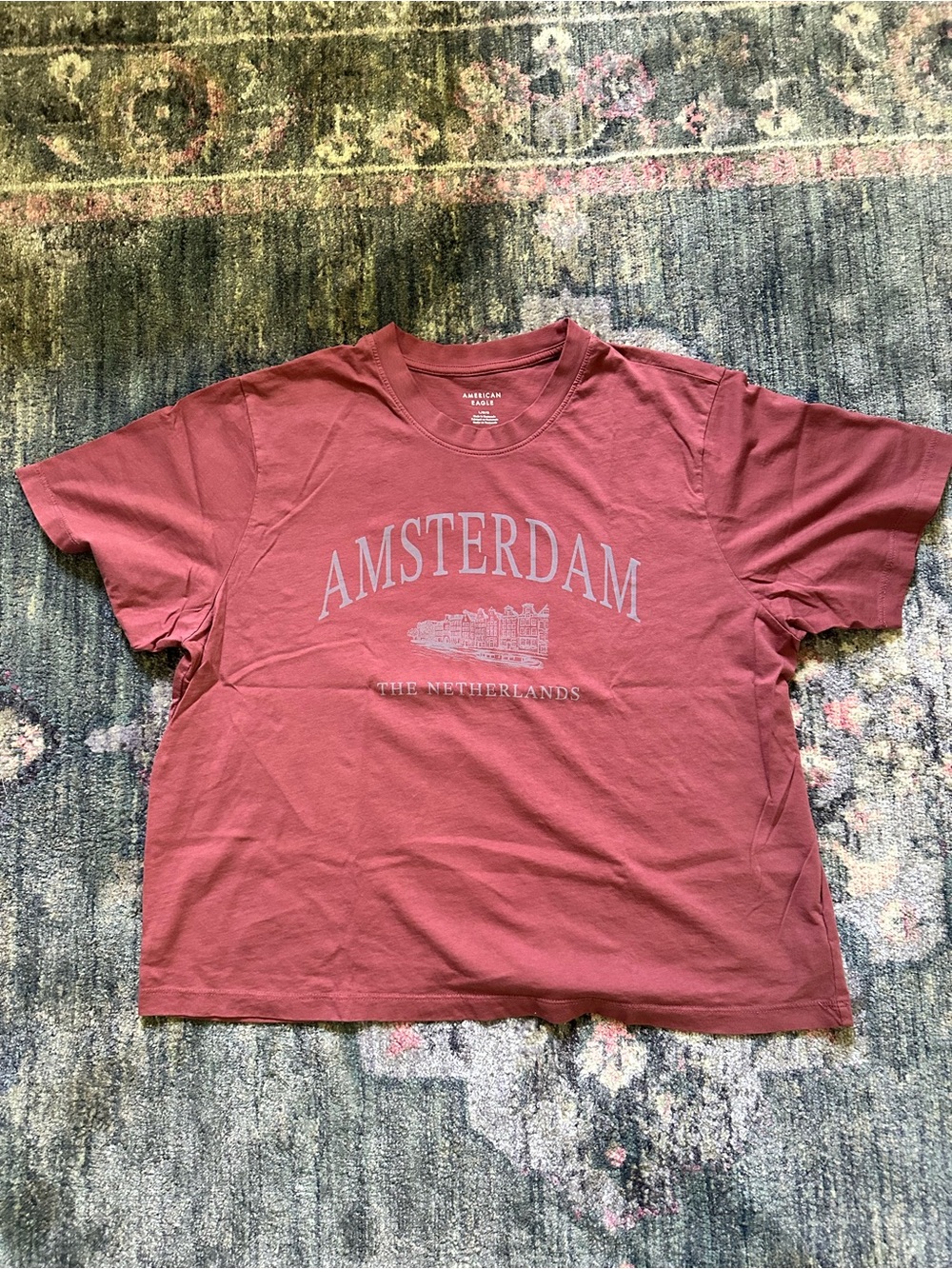 American Eagle Outfitters Amsterdam Netherlands Graphic Tee Pale Red Large Cute